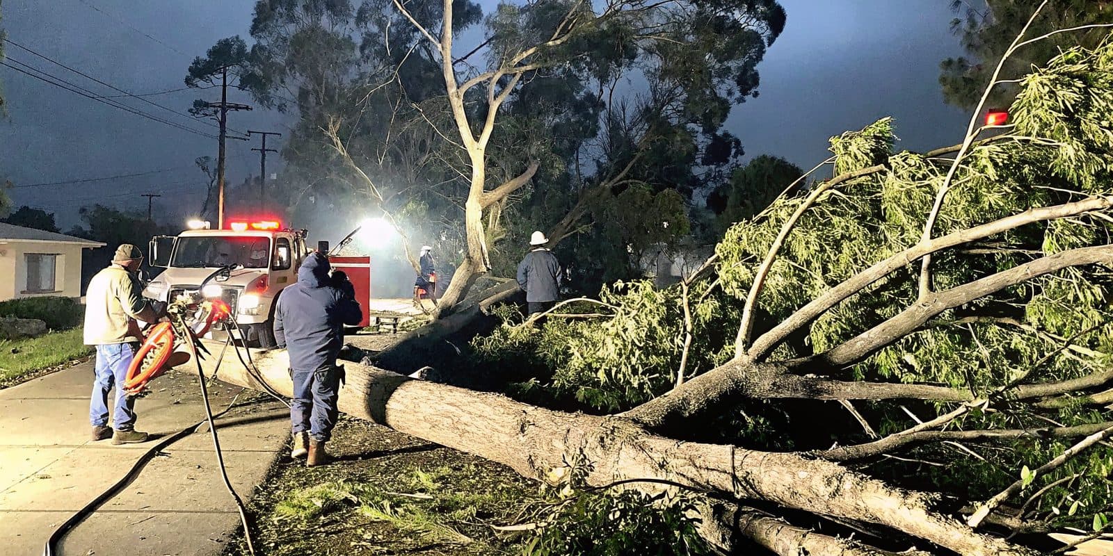Emergency crew responding to a storm-damaged fallen tree